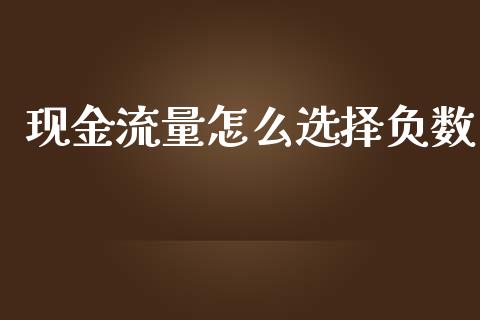 现金流量怎么选择负数_https://qh.lansai.wang_期货喊单_第1张