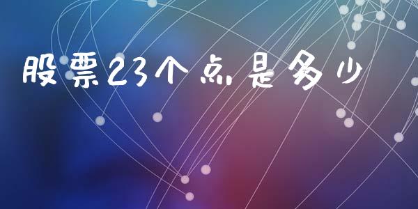 股票23个点是多少_https://qh.lansai.wang_新股数据_第1张