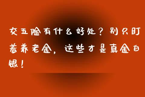 交五险有什么好处？别只盯着养老金，这些才是真金白银！_https://qh.lansai.wang_期货怎么玩_第1张