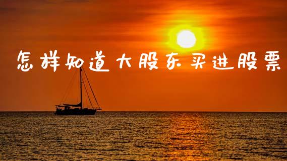 怎样知道大股东买进股票_https://qh.lansai.wang_期货怎么玩_第1张