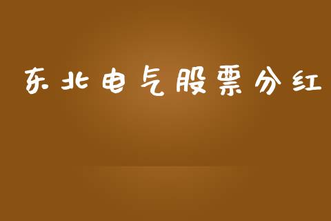 东北电气股票分红_https://qh.lansai.wang_新股数据_第1张