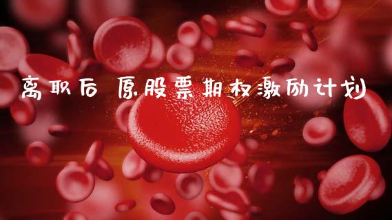 离职后 原股票期权激励计划_https://qh.lansai.wang_期货理财_第1张