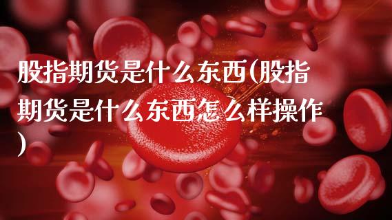股指期货是什么东西(股指期货是什么东西怎么样操作)_https://qh.lansai.wang_期货理财_第1张