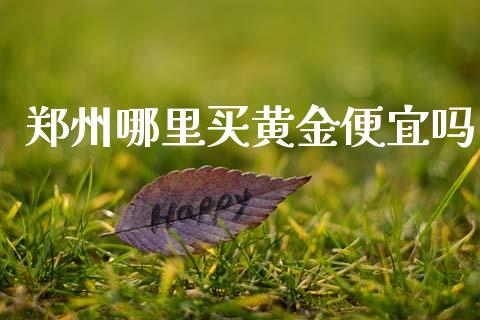 郑州哪里买黄金便宜吗_https://qh.lansai.wang_新股数据_第1张