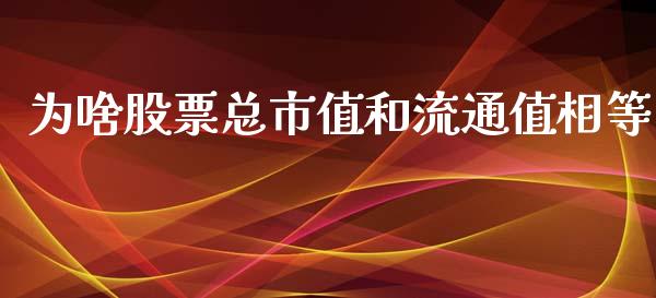 为啥股票总市值和流通值相等_https://qh.lansai.wang_新股数据_第1张