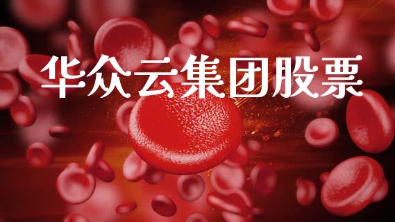 华众云集团股票_https://qh.lansai.wang_期货喊单_第1张