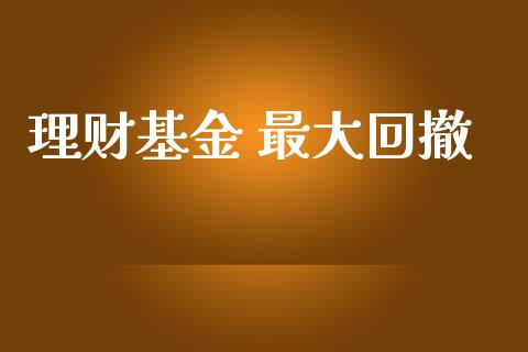 理财基金 最大回撤_https://qh.lansai.wang_期货理财_第1张