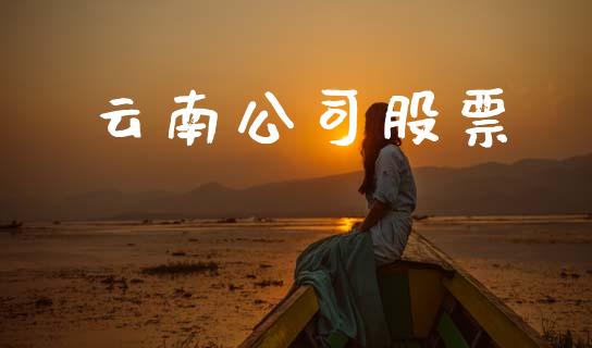 云南公司股票_https://qh.lansai.wang_期货喊单_第1张