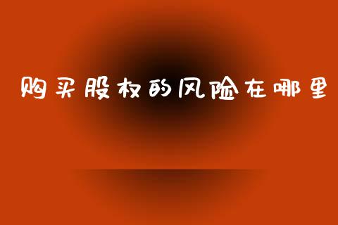 购买股权的风险在哪里_https://qh.lansai.wang_股票新闻_第1张