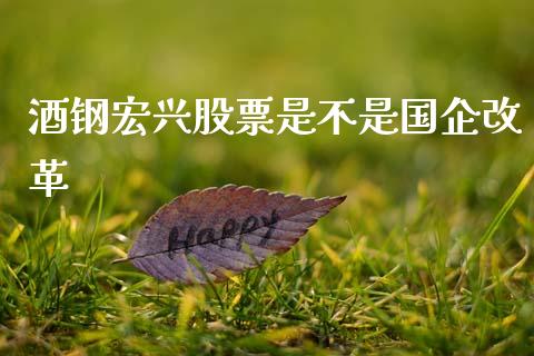 酒钢宏兴股票是不是国企改革_https://qh.lansai.wang_新股数据_第1张