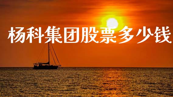 杨科集团股票多少钱_https://qh.lansai.wang_期货喊单_第1张