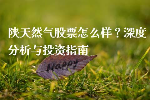 陕天然气股票怎么样？深度分析与投资指南_https://qh.lansai.wang_海康威视股票_第1张