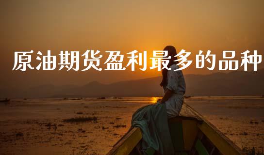 原油期货盈利最多的品种_https://qh.lansai.wang_期货怎么玩_第1张