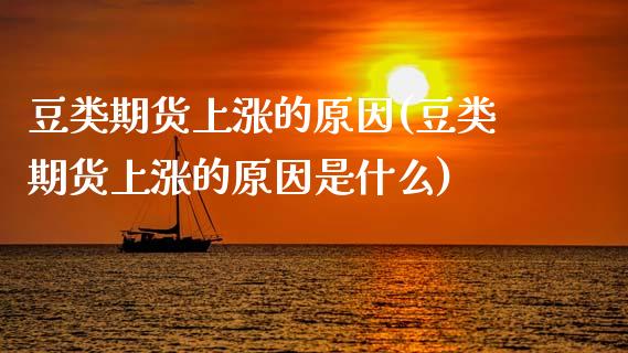 豆类期货上涨的原因(豆类期货上涨的原因是什么)_https://qh.lansai.wang_期货喊单_第1张
