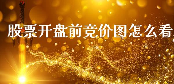 股票开盘前竞价图怎么看_https://qh.lansai.wang_期货喊单_第1张
