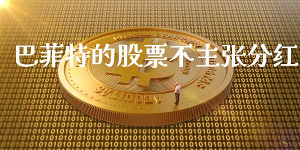 巴菲特的股票不主张分红_https://qh.lansai.wang_期货理财_第1张