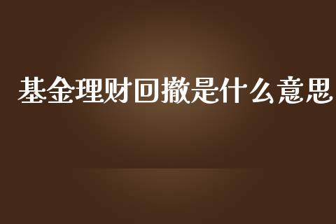 基金理财回撤是什么意思_https://qh.lansai.wang_期货理财_第1张