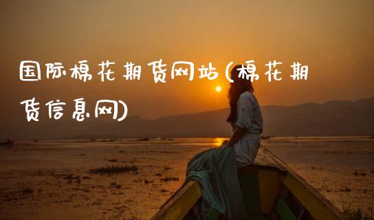 国际棉花期货网站(棉花期货信息网)_https://qh.lansai.wang_期货喊单_第1张