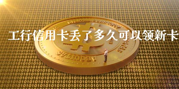 工行信用卡丢了多久可以领新卡_https://qh.lansai.wang_股票技术分析_第1张