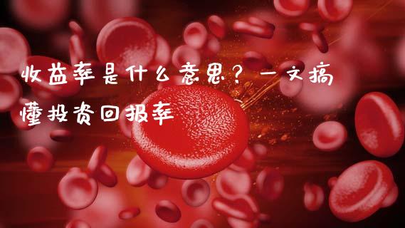 收益率是什么意思？一文搞懂投资回报率_https://qh.lansai.wang_股票新闻_第1张