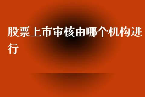 股票上市审核由哪个机构进行_https://qh.lansai.wang_期货喊单_第1张