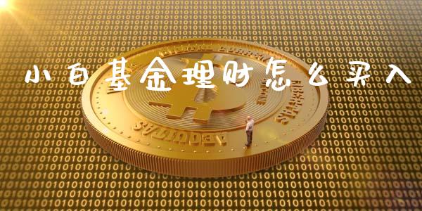 小白基金理财怎么买入_https://qh.lansai.wang_期货理财_第1张