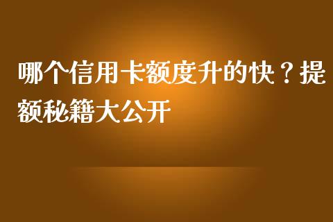 哪个信用卡额度升的快？提额秘籍大公开_https://qh.lansai.wang_期货喊单_第1张