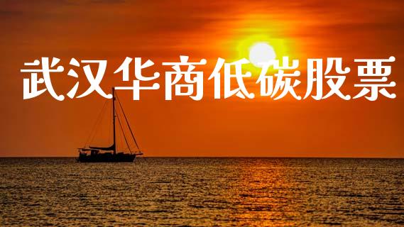 武汉华商低碳股票_https://qh.lansai.wang_新股数据_第1张