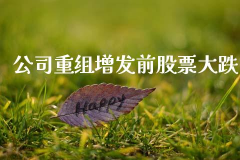 公司重组增发前股票大跌_https://qh.lansai.wang_期货理财_第1张