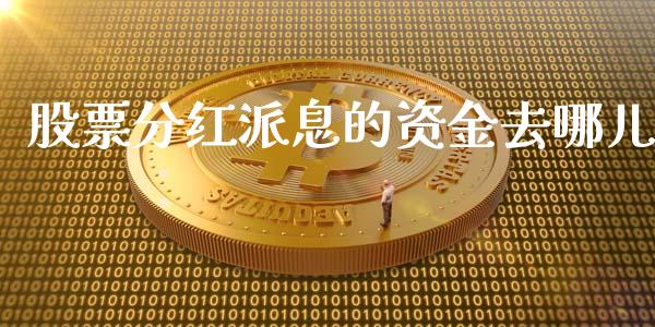 股票分红派息的资金去哪儿_https://qh.lansai.wang_期货怎么玩_第1张