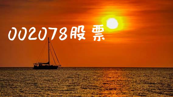002078股票_https://qh.lansai.wang_期货怎么玩_第1张