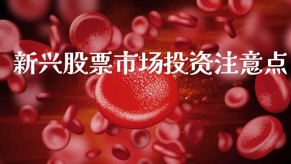 新兴股票市场投资注意点_https://qh.lansai.wang_新股数据_第1张