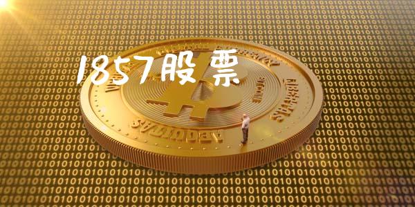1857股票_https://qh.lansai.wang_新股数据_第1张