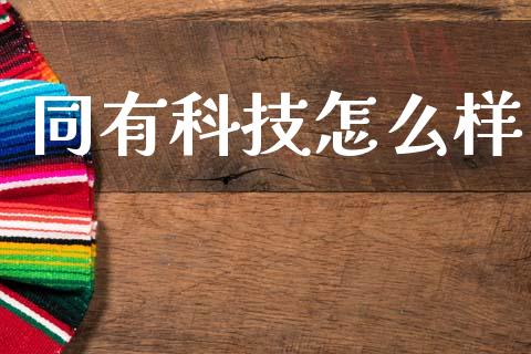 同有科技怎么样_https://qh.lansai.wang_期货喊单_第1张