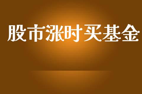 股市涨时买基金_https://qh.lansai.wang_期货理财_第1张