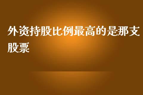 外资持股比例最高的是那支股票_https://qh.lansai.wang_期货怎么玩_第1张