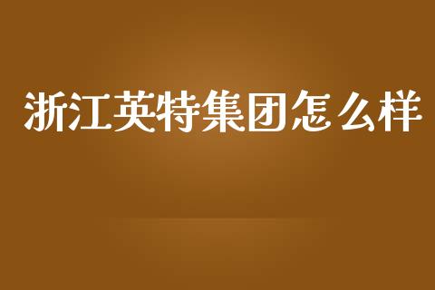 浙江英特集团怎么样_https://qh.lansai.wang_股票新闻_第1张