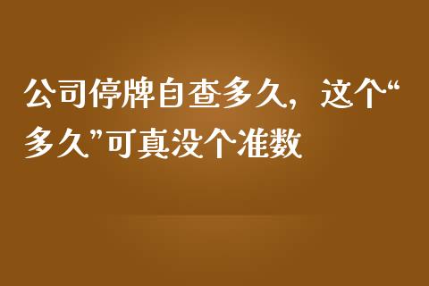 公司停牌自查多久，这个“多久”可真没个准数_https://qh.lansai.wang_股票技术分析_第1张