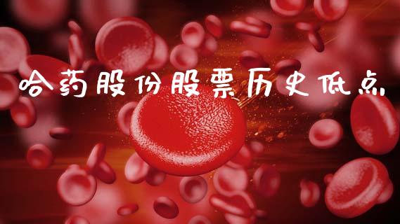 哈药股份股票历史低点_https://qh.lansai.wang_期货理财_第1张