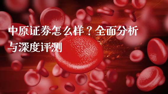 中原证券怎么样？全面分析与深度评测_https://qh.lansai.wang_新股数据_第1张