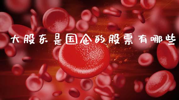 大股东是国企的股票有哪些_https://qh.lansai.wang_新股数据_第1张