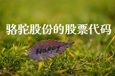 骆驼股份的股票代码_https://qh.lansai.wang_新股数据_第1张