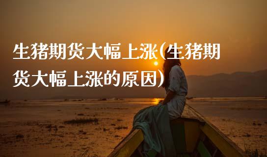生猪期货大幅上涨(生猪期货大幅上涨的原因)_https://qh.lansai.wang_期货喊单_第1张
