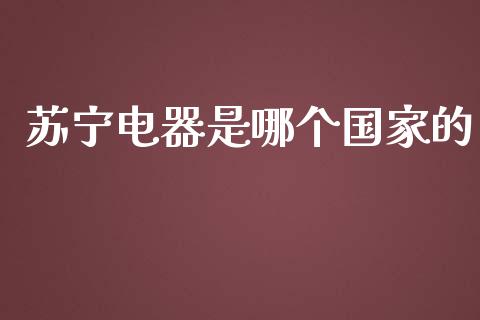 苏宁电器是哪个国家的_https://qh.lansai.wang_期货喊单_第1张