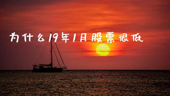 为什么19年1月股票很低_https://qh.lansai.wang_期货怎么玩_第1张