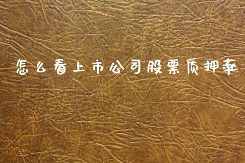 怎么看上市公司股票质押率_https://qh.lansai.wang_期货理财_第1张