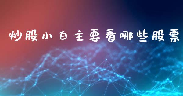 炒股小白主要看哪些股票_https://qh.lansai.wang_期货理财_第1张