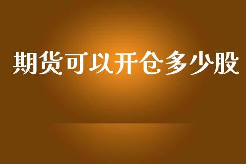 期货可以开仓多少股_https://qh.lansai.wang_股票新闻_第1张