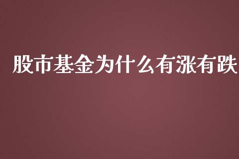 股市基金为什么有涨有跌_https://qh.lansai.wang_期货理财_第1张