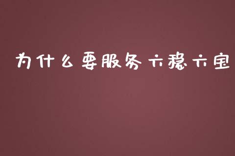 为什么要服务六稳六宝_https://qh.lansai.wang_海康威视股票_第1张